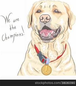 Smiling happy yellow dog breed Labrador Retriever champion&#xA;