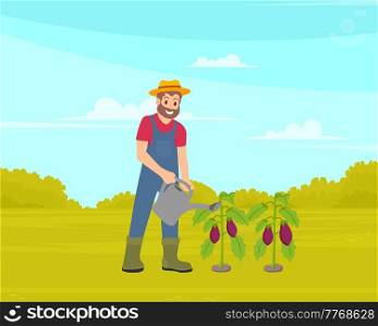 Smiling man gardener watering plant with watering can, organic agriculture, spring and summer seasonal farm work. Farmer in overalls and rubber boots watering vegetables eggplant in garden bed. Smiling man watering plant with watering can, agriculture, spring and summer seasonal farm work