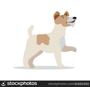 Smooth Fox Terrier Dog Breed Isolated on White.. Smooth Fox Terrier dog breed isolated on white. Wire Fox Terrier. Jack Russell Terrier, Miniature Fox Terrier and Rat Terrier. Cartoon puppy. Home pet. Child fun pattern icon. Vector illustration