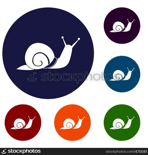 Snail icons set in flat circle reb, blue and green color for web. Snail icons set