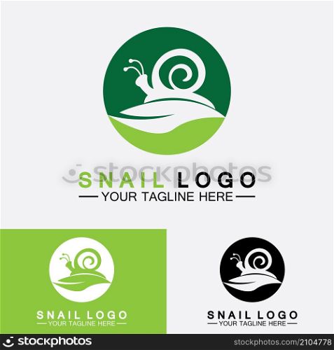 Snail Logo creative modern design inspiration vector