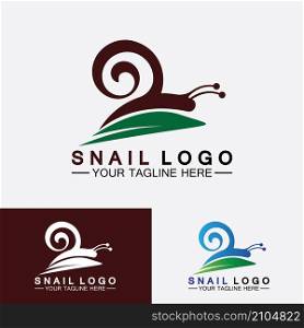 Snail logo template vector icon illustration design
