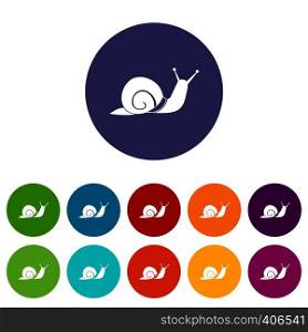 Snail set icons in different colors isolated on white background. Snail set icons