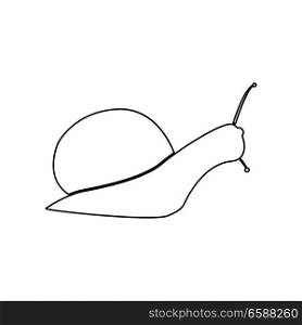 Snail silhouette icon .