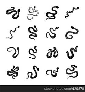 Snake icons set. Simple illustration of 16 snake vector icons for web. Snake icons set, simple style