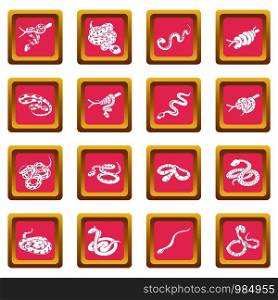 Snake icons set vector pink square isolated on white background . Snake icons set pink square vector