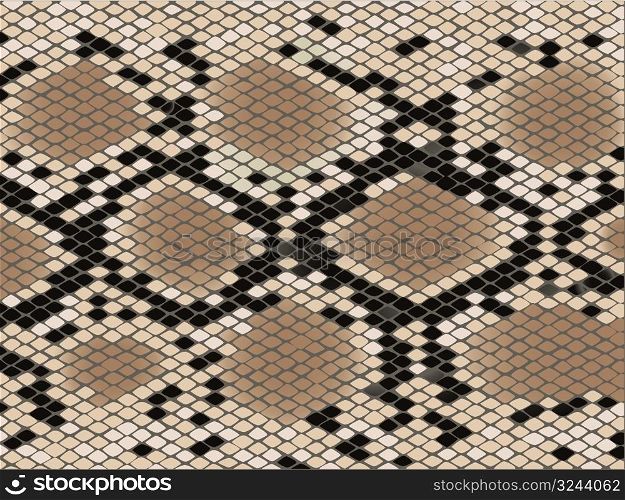 Snake skin with the pattern lozenge form
