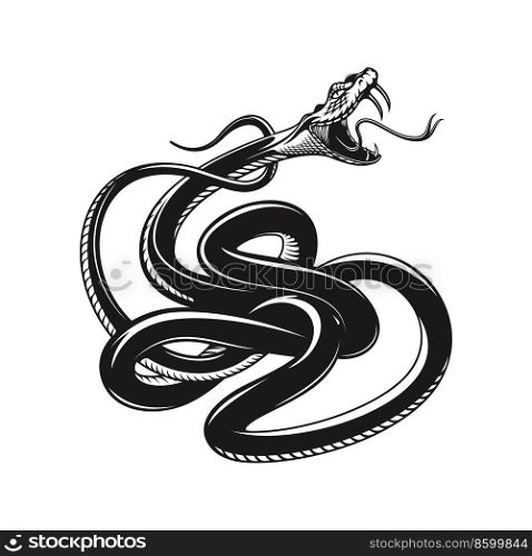 Snake tattoo, angry viper, vector aggressive serpent or python. Angry snake with fangs and tongue attack for bite, black viper serpent for bikers or rockers club tattoo, mascot. Snake tattoo, angry rattlesnake or cobra viper