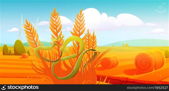 Snake Trimeresurus Salazar at autumn field. Green serpent with yellow eyes twine dry bush at beautiful sunny day landscape. Wild reptile lifestyle, venom animal at nature, Cartoon vector illustration. Snake Trimeresurus Salazar at autumn field, venom