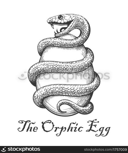 Snake with Egg. Esoteric Orphic Egg Symbol drawn in engraving style. vecto lustration.