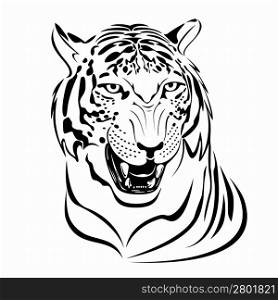 Snarling tiger&acute;s head illustration in black lines