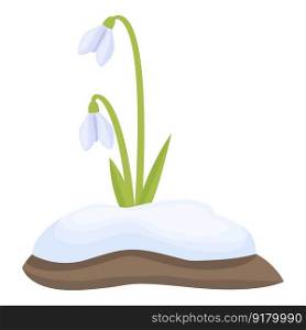 Snowdrop flora icon cartoon vector. Spring grass. Fresh bloom. Snowdrop flora icon cartoon vector. Spring grass