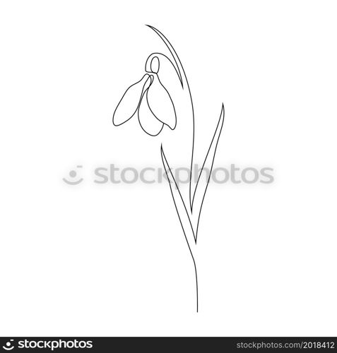 Snowdrop flower in line art style in white background.