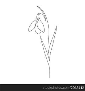 Snowdrop flower in line art style in white background.
