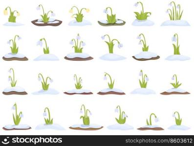 Snowdrop icons set cartoon vector. Nature flower. Spring leaf. Snowdrop icons set cartoon vector. Nature flower