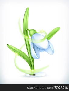 Snowdrop, vector icon