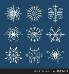 Snowflake vector image