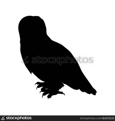 Snowy Owl Flat Design Vector Illustration. Snowy owl vector. Predatory birds wildlife concept in flat style design. North fauna illustration for ,encyclopedia, childrens books illustrating. Beautiful snowy owl bird seating isolated on white.