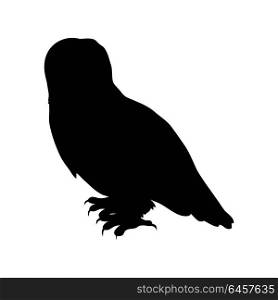 Snowy Owl Flat Design Vector Illustration. Snowy owl vector. Predatory birds wildlife concept in flat style design. North fauna illustration for ,encyclopedia, childrens books illustrating. Beautiful snowy owl bird seating isolated on white.