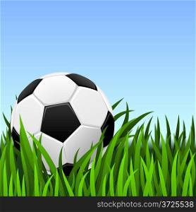 Soccer background  classic soccer ball on the green grass.