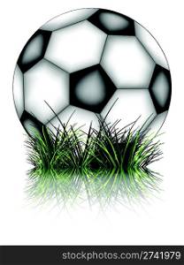 soccer ball and grass reflected against white background; abstract vector art illustration; image contains transparency and gradient mesh