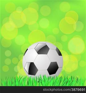 Soccer Ball Lying on the Green Grass. Summer Green Blurred Background.. Soccer Ball