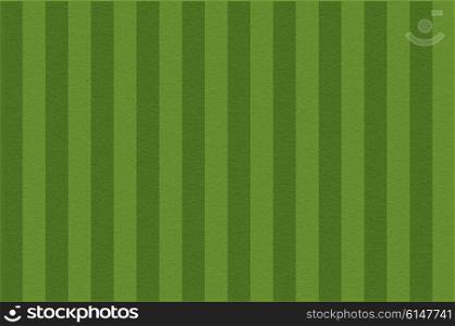 Soccer field, vector illustration. Football field with lines