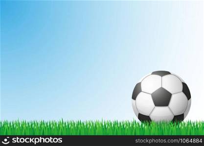 soccer grass field vector illustration isolated on background