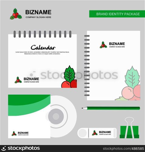 Socks Logo, Calendar Template, CD Cover, Diary and USB Brand Stationary Package Design Vector Template