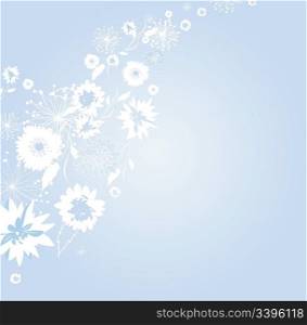 soft background flowers