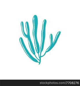 Soft tip bubble coral isolated corals reef plant. Vector blue bubble-tip anemone, underwater soft coral aquariums and tanks decoration. Vector finger coral with sharp branches, exotic seabed flora. Bubble tip anemone isolated blue soft coral icon