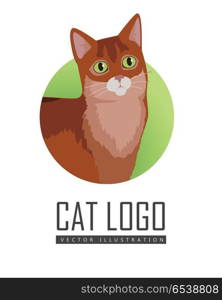 Somali Cat Vector Flat Design Illustration. Somali cat breed. Cute fluffy red cat standing flat vector illustration isolated on white background. Purebred pet. Domestic friend and companion animal. For pet shop ad, hobby concept, breeding