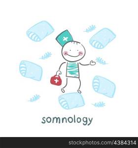 somnology flies on pillows