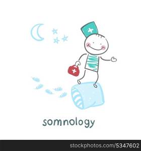 somnology flies on pillows