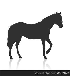 Sorrel Horse Logo. Sorrel horse black logo vector. Flat design. Domestic animal. Country inhabitants concept. For farming, animal husbandry, horse sport illustrating. Agricultural species. Isolated on white