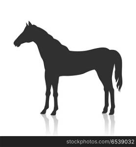 Sorrel Horse Vector Illustration in Flat Design. Sorrel horse with white mane vector. Flat design. Domestic animal. Country inhabitants concept. For farming, animal husbandry, horse sport illustrating. Agricultural species. Isolated black on white