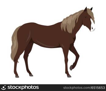 Sorrel horse with white muzzle vector. Flat design. Domestic animal. Country inhabitants concept. For farming, animal husbandry, horse sport illustrating. Agricultural species. Isolated on white. Sorrel Horse Vector Illustration in Flat Design. Sorrel Horse Vector Illustration in Flat Design