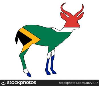 South Africa antilope