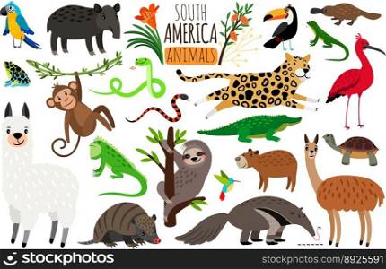 South america animals cartoon guanaco vector image