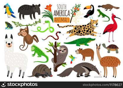 South America animals. Vector cartoon guanaco and iguana, anteater and ocelot, tapir and armadillo isolated on white background. South America animals. Vector cartoon guanaco and iguana, anteater and ocelot, tapir and armadillo on white