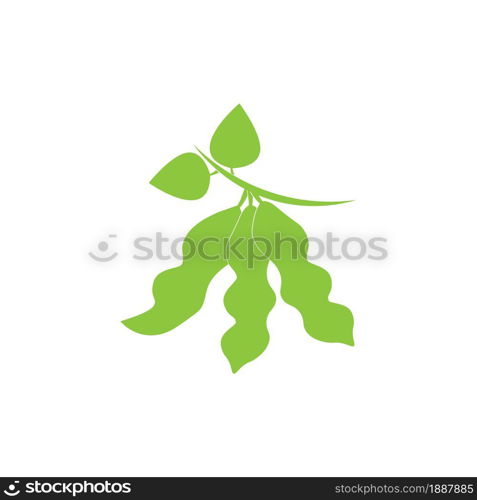 Soybean icon logo vector design