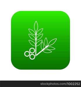 Spa eco leafs icon green vector isolated on white background. Spa eco leafs icon green vector