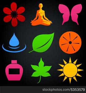 spa icon3. Set of icons on a natural theme. A vector illustration
