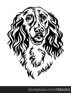 Spaniel dog black contour portrait. Dog head in front view vector illustration isolated on white. For decor, design, print, poster, postcard, sticker, t-shirt, cricut, tattoo and embroidery. Spaniel dog vector black contour portrait vector