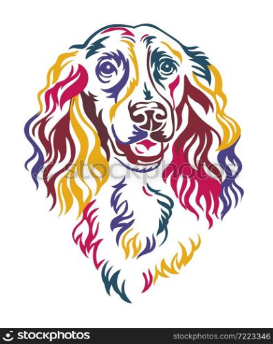 Spaniel dog color contour portrait. Dog head in front view vector illustration isolated on white. For decor, design, print, poster, postcard, sticker, t-shirt, cricut, tattoo and embroidery. Spaniel dog vector color contour portrait vector