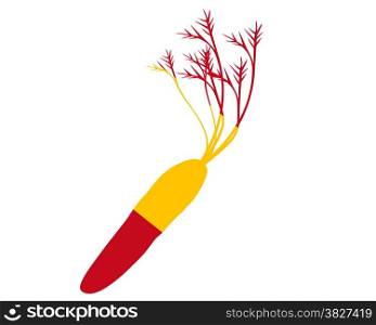 Spanish carrot