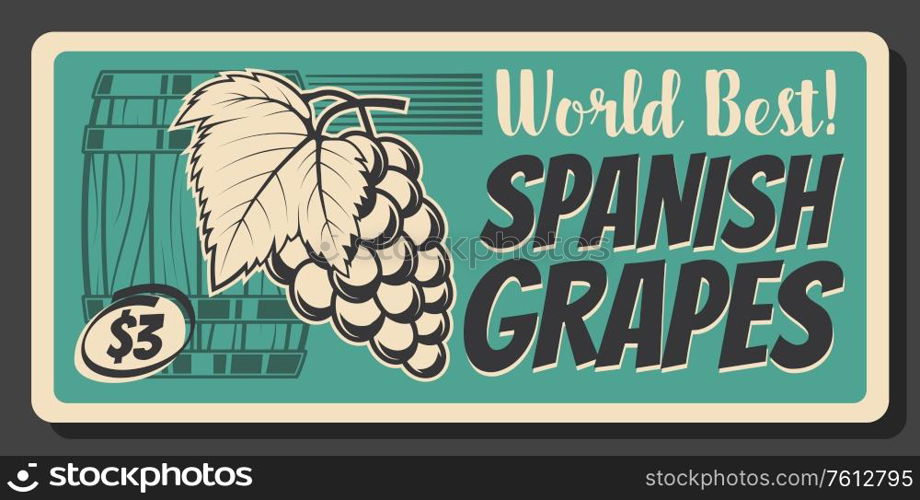 Spanish ripe grape fruits retro banner, vector vintage card. Bunch of ripe grape with leaves and wooden barrel. Vineyard production price tag, Spanish wine factory or shop vintage advertisement. Spanish ripe grape fruits, vector vintage card