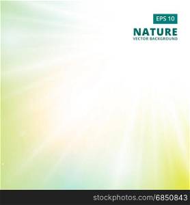 Sparkling sunlight and flares of light from the sides on a green background of nature. vector background copy space