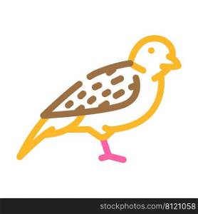 sparrow bird color icon vector. sparrow bird sign. isolated symbol illustration. sparrow bird color icon vector illustration