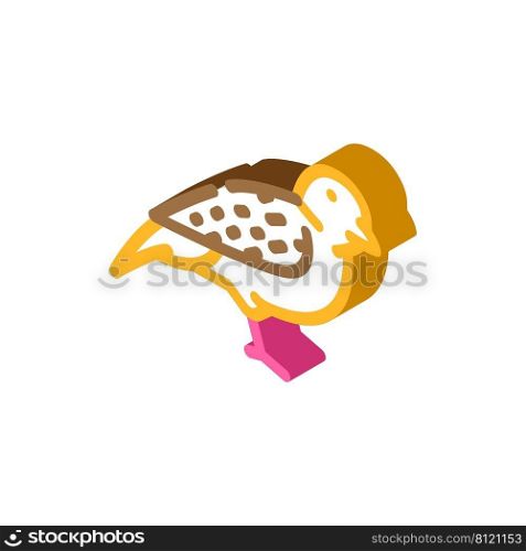 sparrow bird isometric icon vector. sparrow bird sign. isolated symbol illustration. sparrow bird isometric icon vector illustration